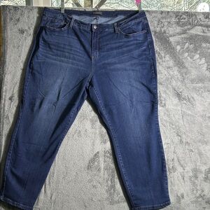 The Limited Indigo Denim Jeans size 22, inseam 25